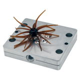WILLY BITE MOLD KIT